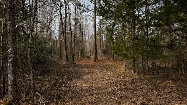 536 An County Road 1233 Palestine, TX 75801