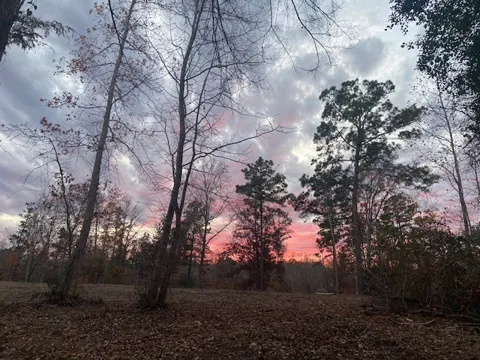 536 An County Road 1233