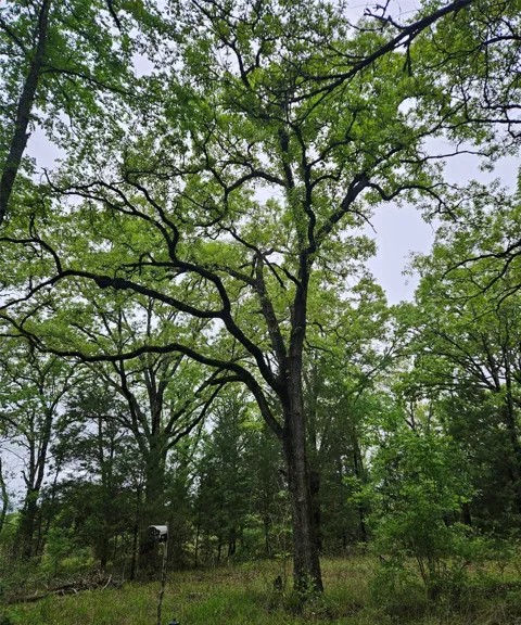 1 5401 ROAD