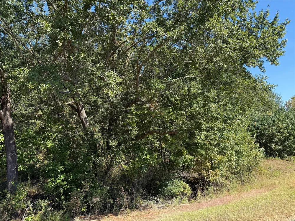 E US Highway 80 Hawkins, TX 75765