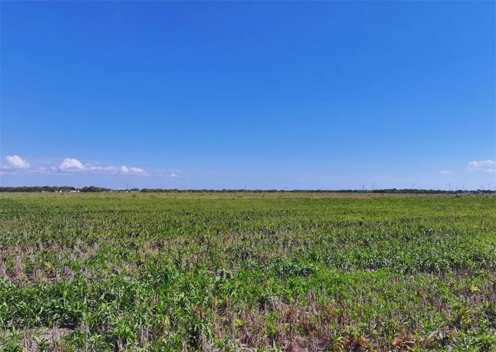 CR 2367 Odem, TX 78370