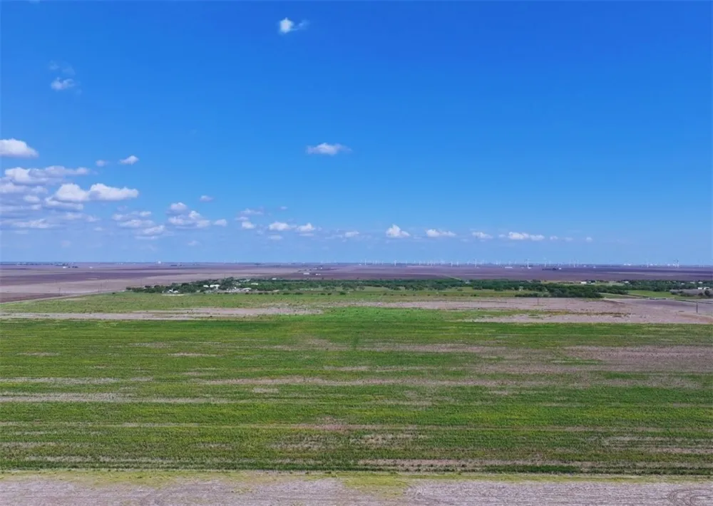 CR 2367 Odem, TX 78370