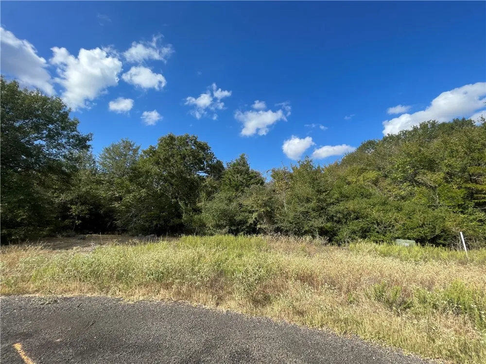6489 Olivia Bryan, TX 77808