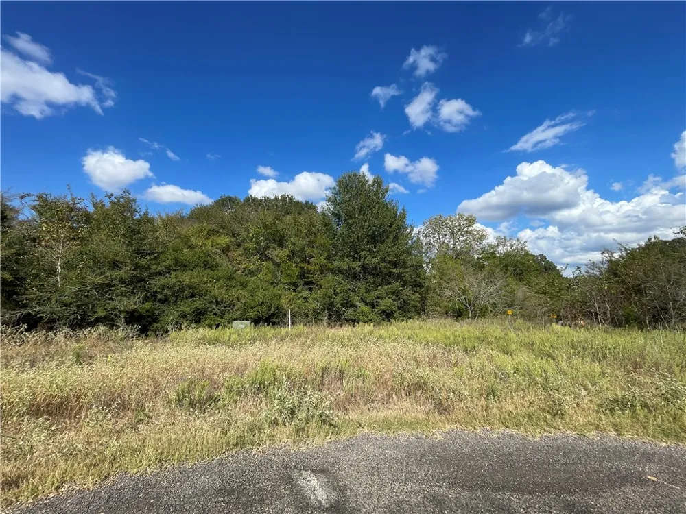 6488 Olivia Bryan, TX 77808