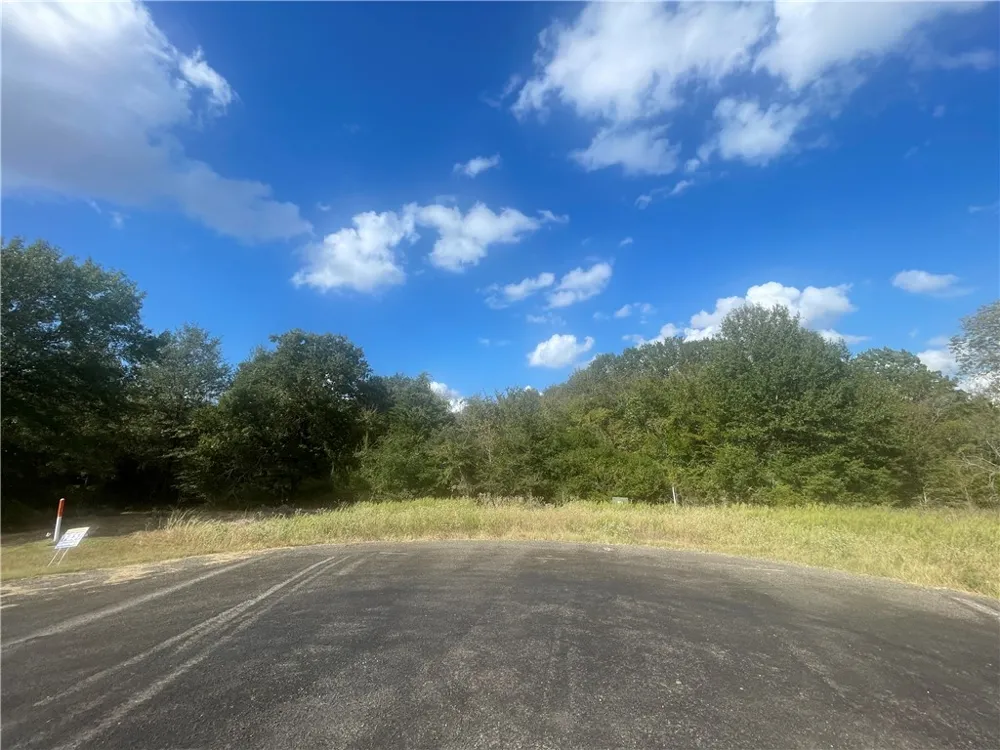 6488 Olivia Bryan, TX 77808