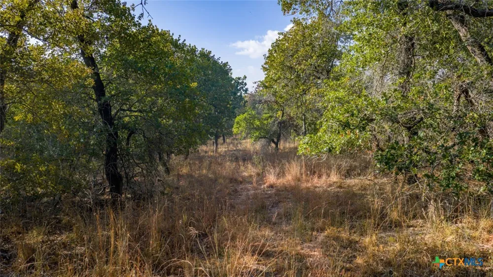 17 Sandstone Ln Seguin, TX 78155