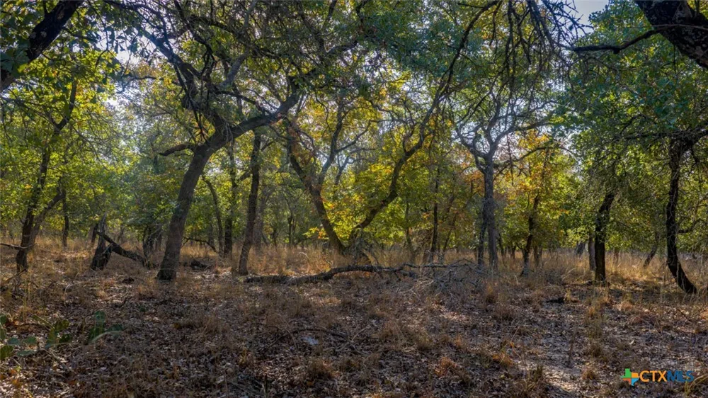17 Sandstone Ln Seguin, TX 78155