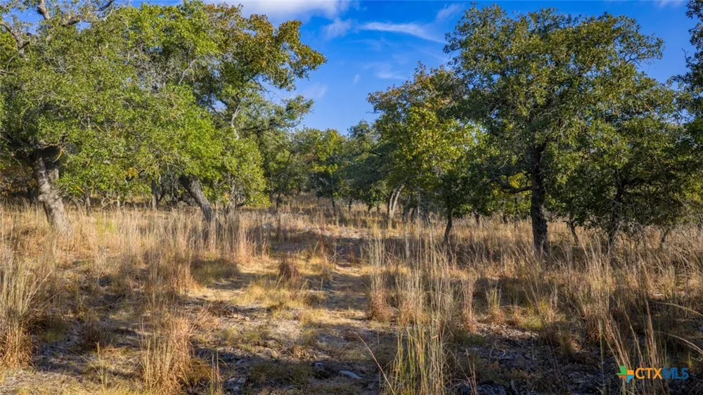 17 Sandstone Ln Seguin, TX 78155