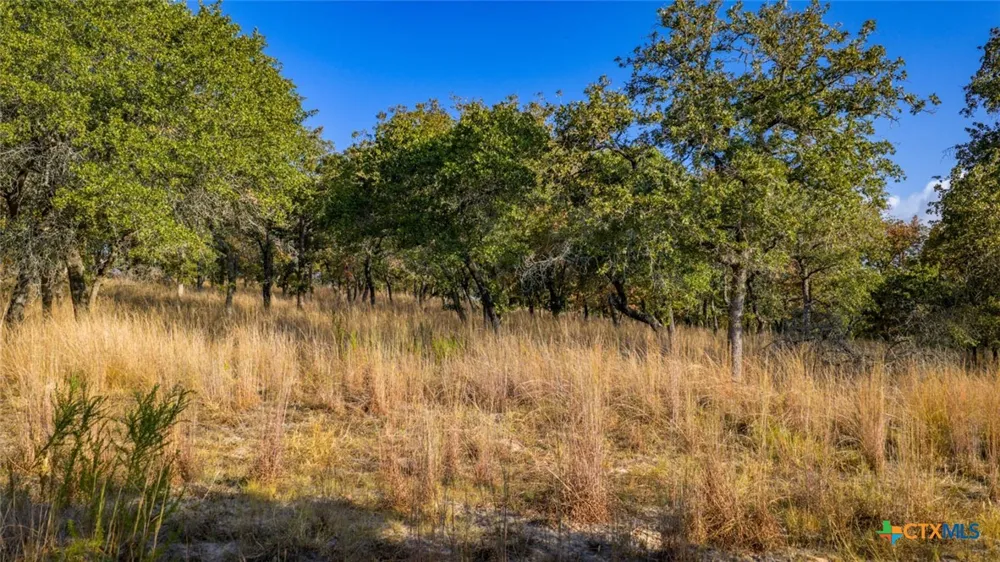 17 Sandstone Ln Seguin, TX 78155