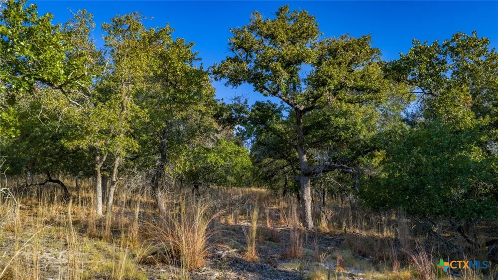 17 Sandstone Ln Seguin, TX 78155