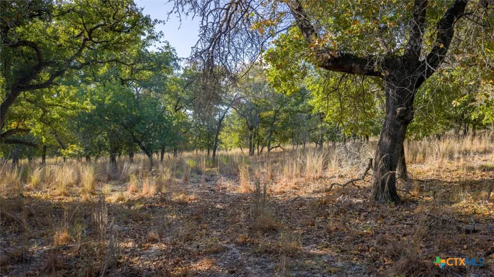 17 Sandstone Ln Seguin, TX 78155
