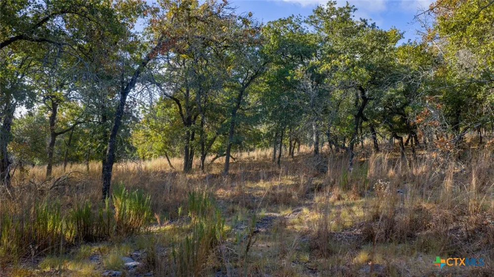 17 Sandstone Ln Seguin, TX 78155