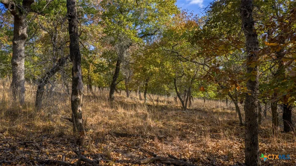 17 Sandstone Ln Seguin, TX 78155