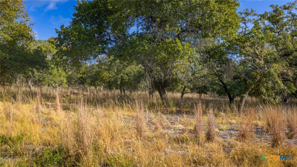 17 Sandstone Ln Seguin, TX 78155