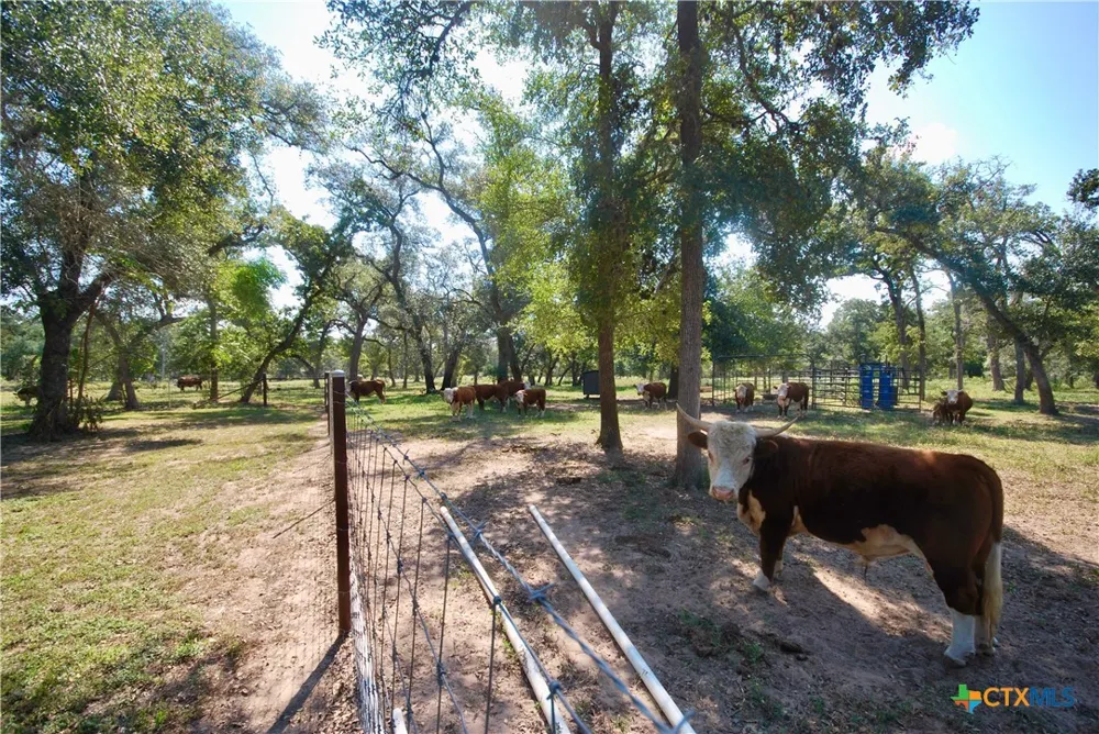 3033 County Road 18 Hallettsville, TX 77964