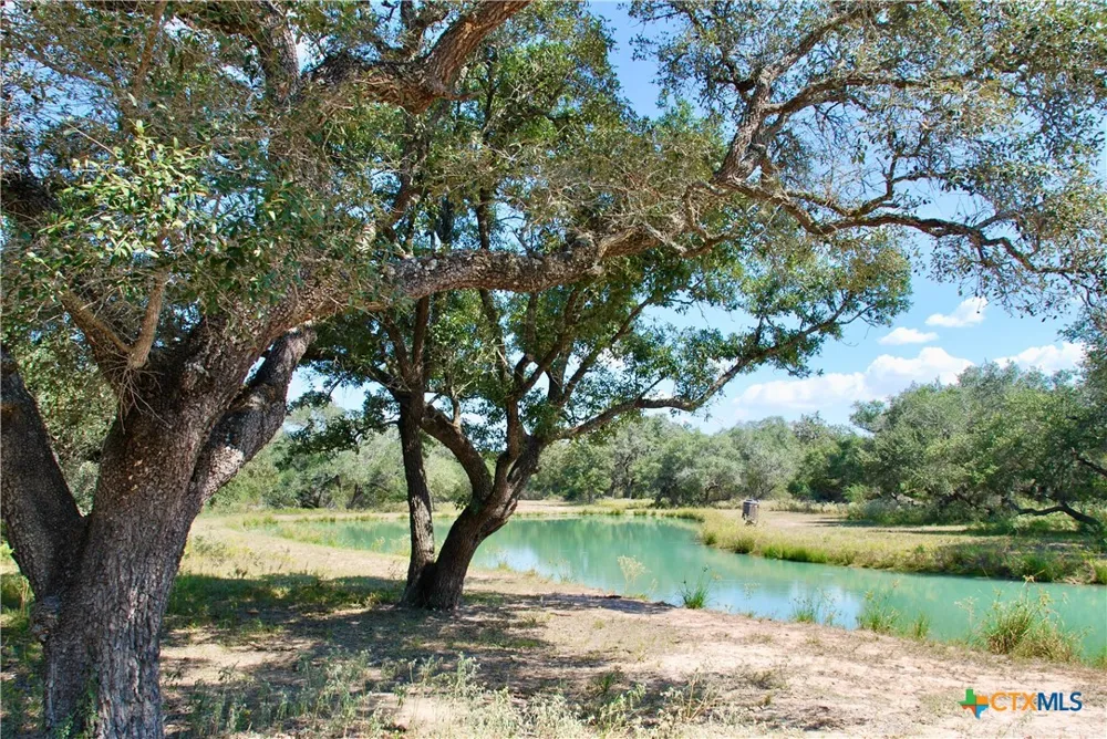 3033 County Road 18 Hallettsville, TX 77964