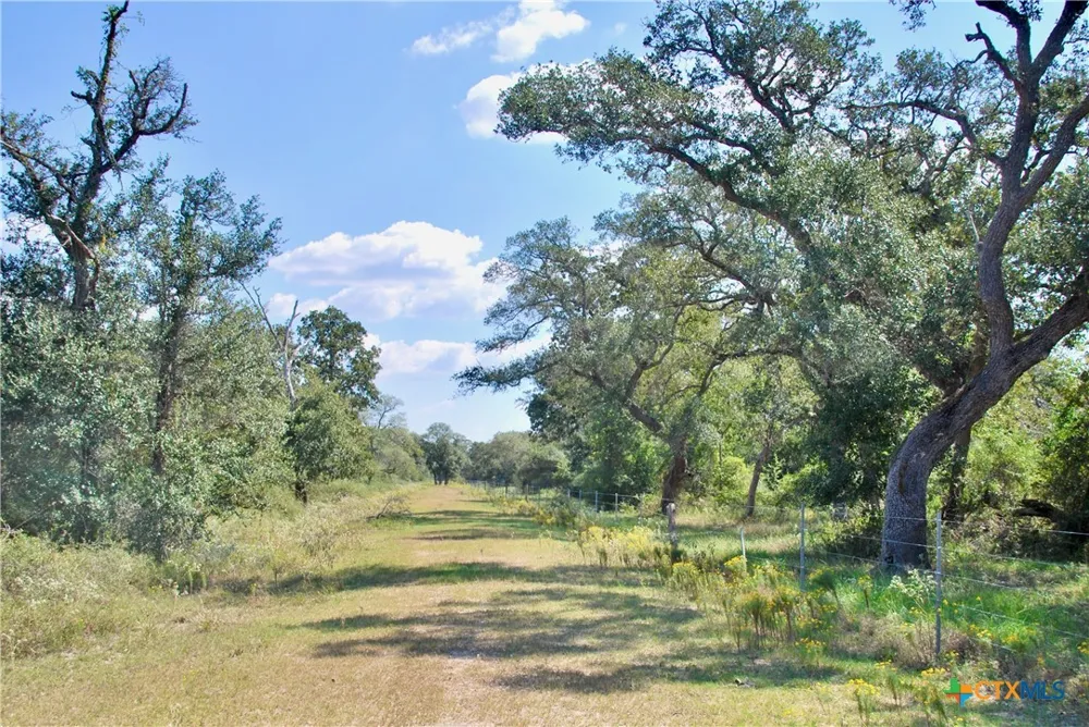 3033 County Road 18 Hallettsville, TX 77964
