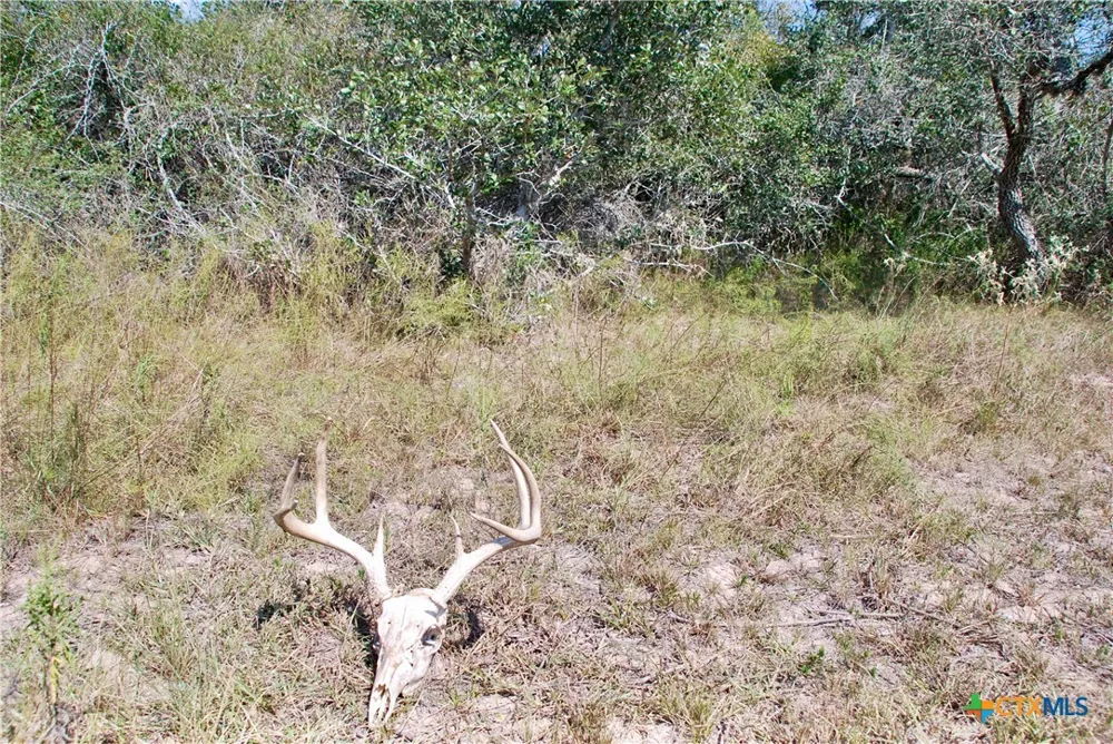 3033 County Road 18 Hallettsville, TX 77964