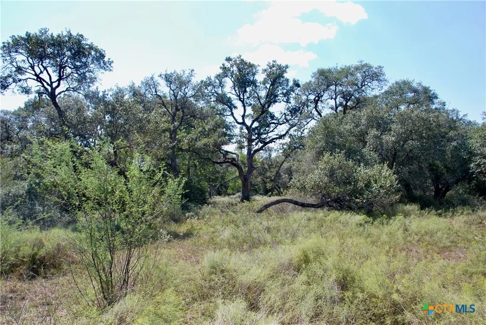 3033 County Road 18 Hallettsville, TX 77964