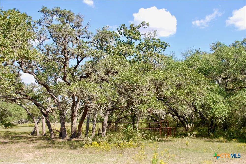 3033 County Road 18 Hallettsville, TX 77964
