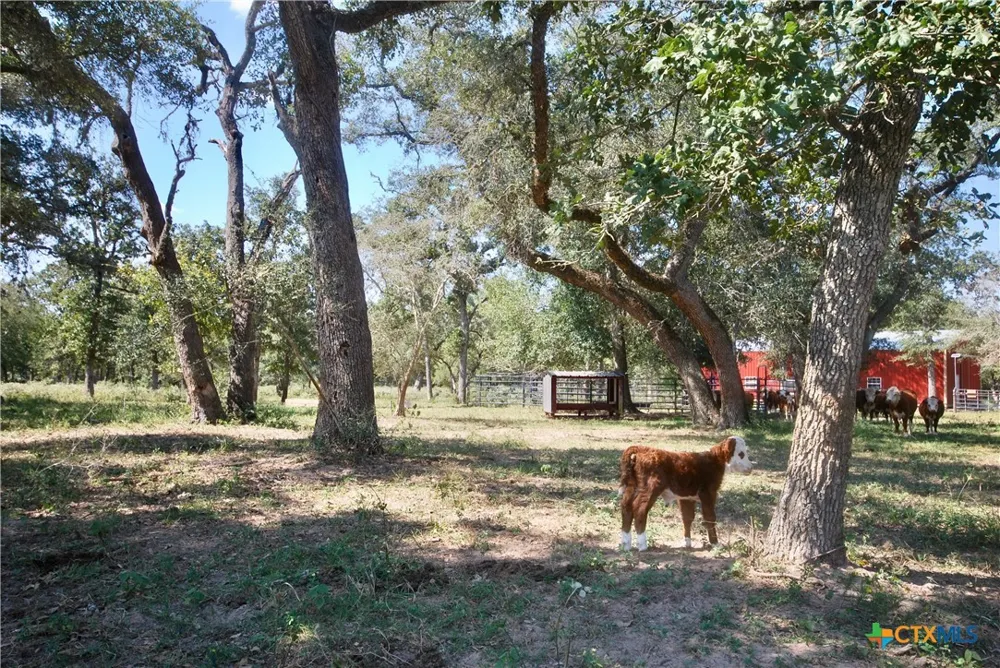 3033 County Road 18 Hallettsville, TX 77964