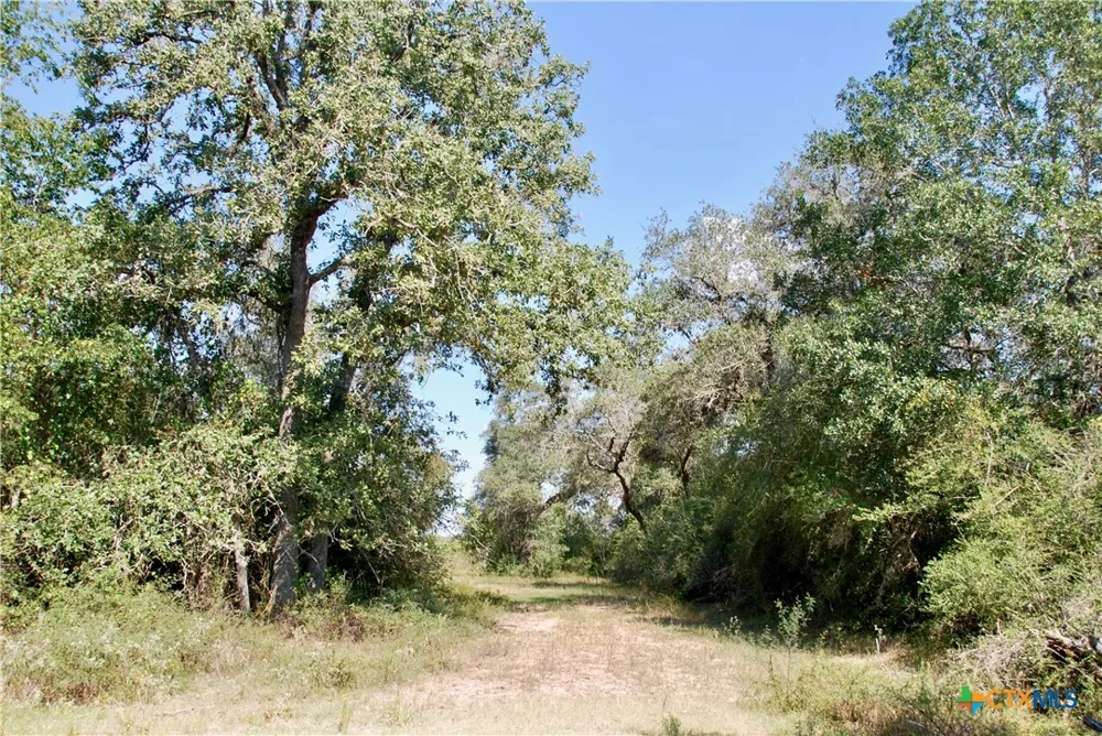 3033 County Road 18 Hallettsville, TX 77964