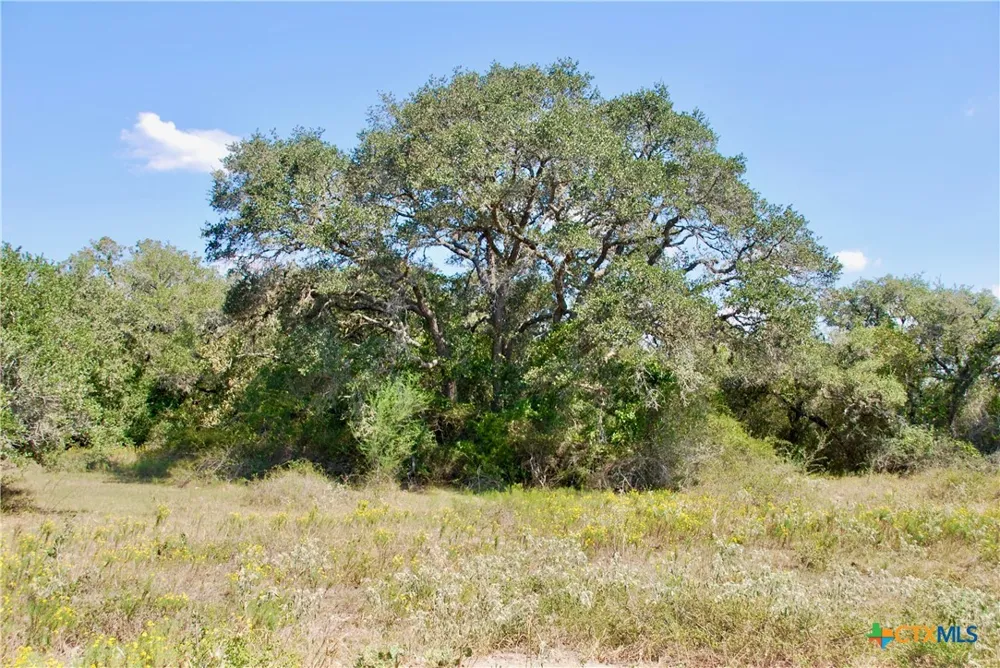 3033 County Road 18 Hallettsville, TX 77964