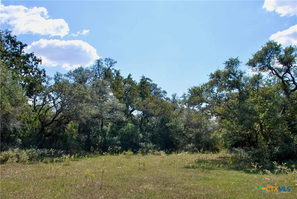 3033 County Road 18 Hallettsville, TX 77964