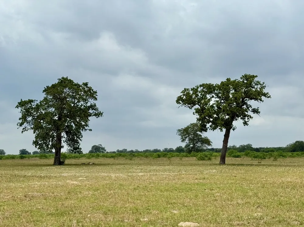 3 Big Sky Ranch Road Smithville, TX 78957