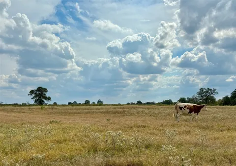 3 Big Sky Ranch Road
