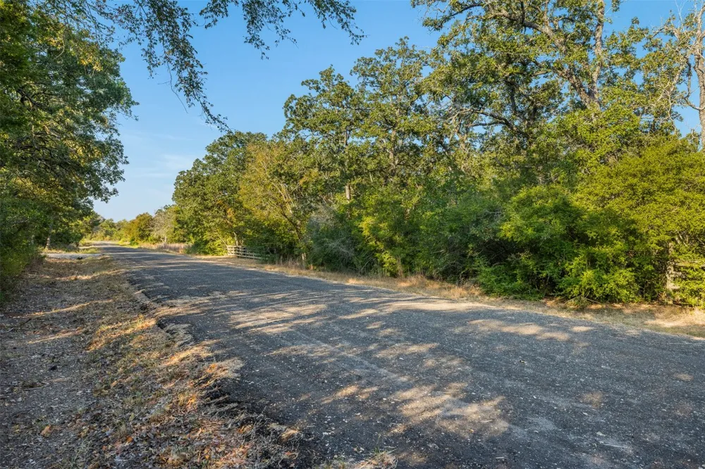 Wolf Run Somerville, TX 77879