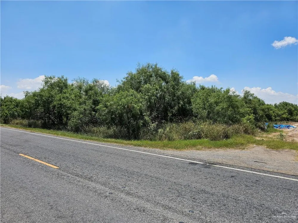 29415 Bucy Road Hargill, TX 78549