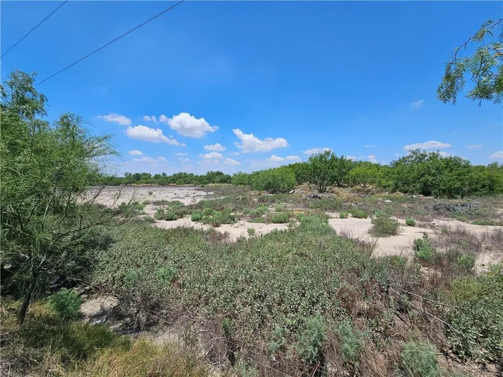 29415 Bucy Road Hargill, TX 78549