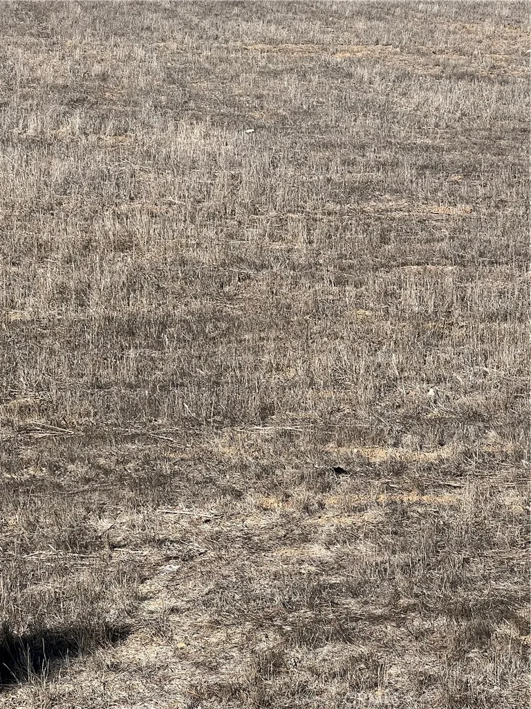 Road Vidal, CA 92280