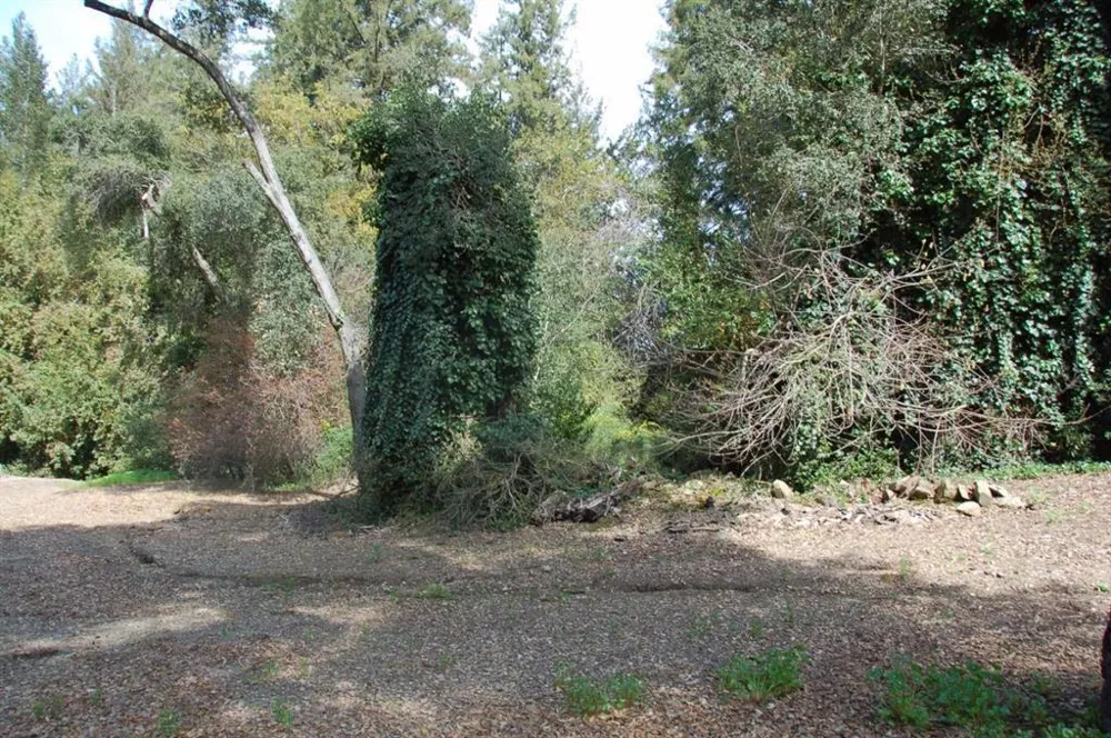 20406 Harvey Way Los Gatos, CA 95033