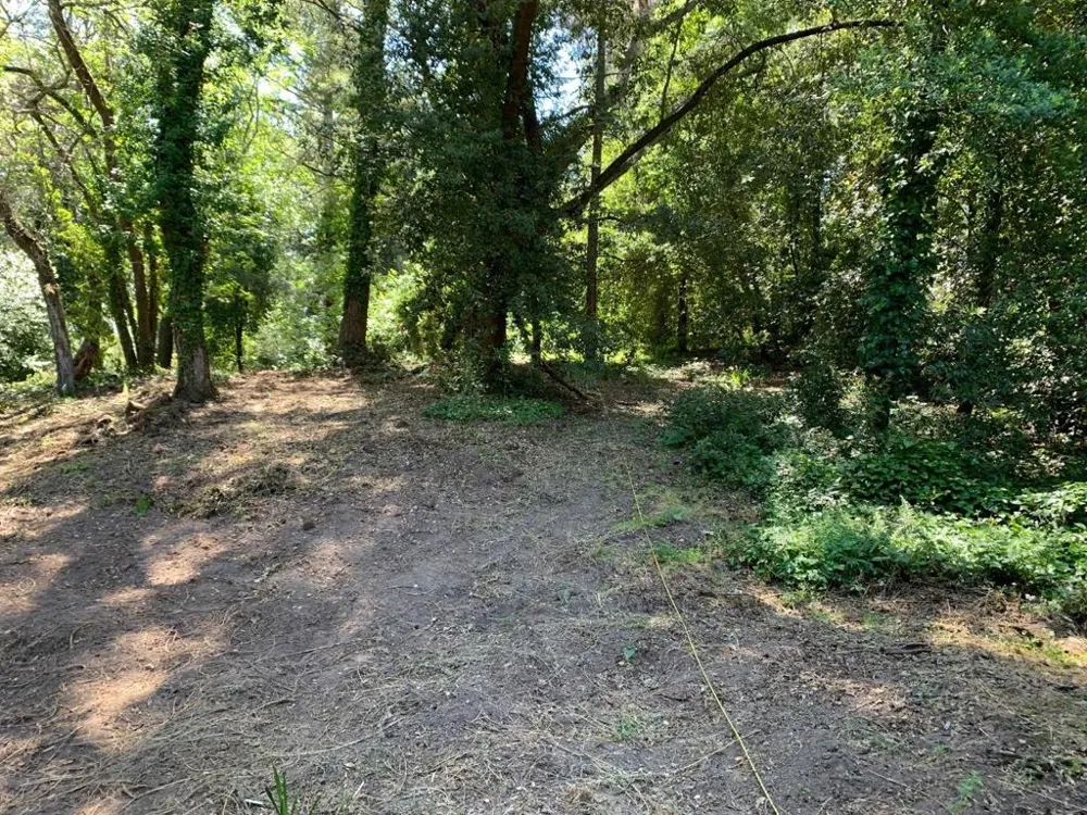 20406 Harvey Way Los Gatos, CA 95033