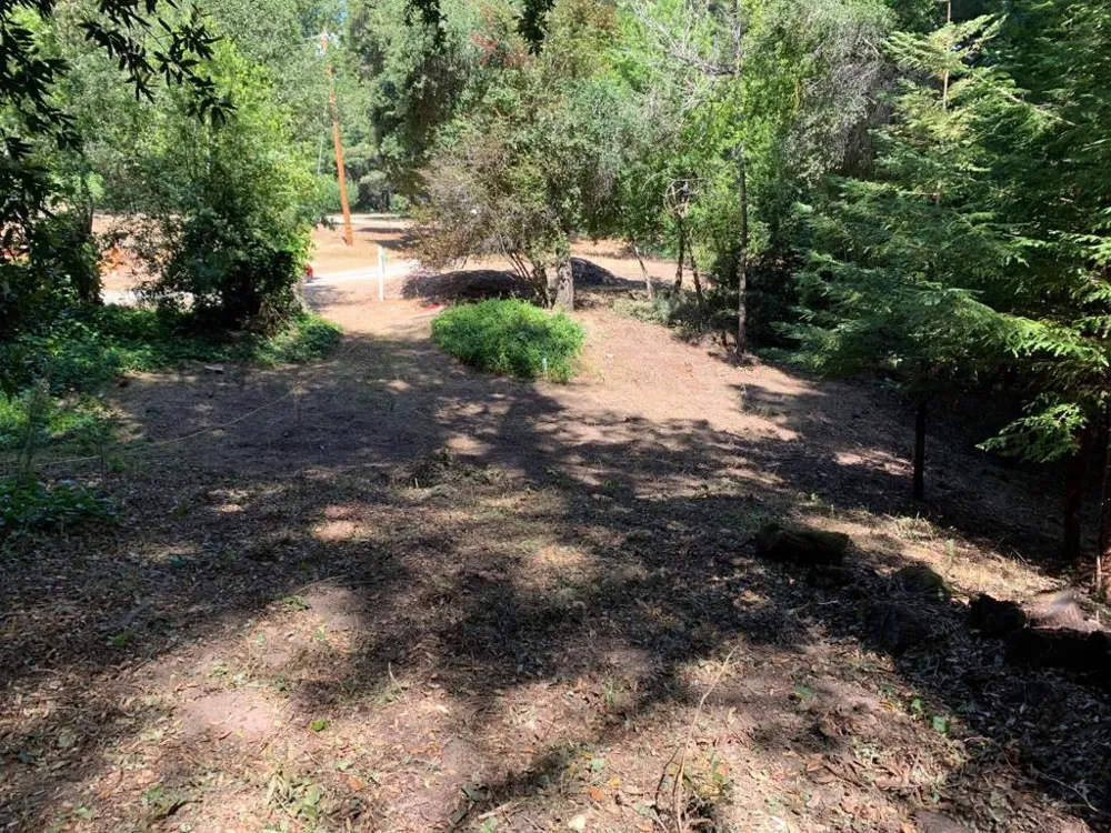 20406 Harvey Way Los Gatos, CA 95033
