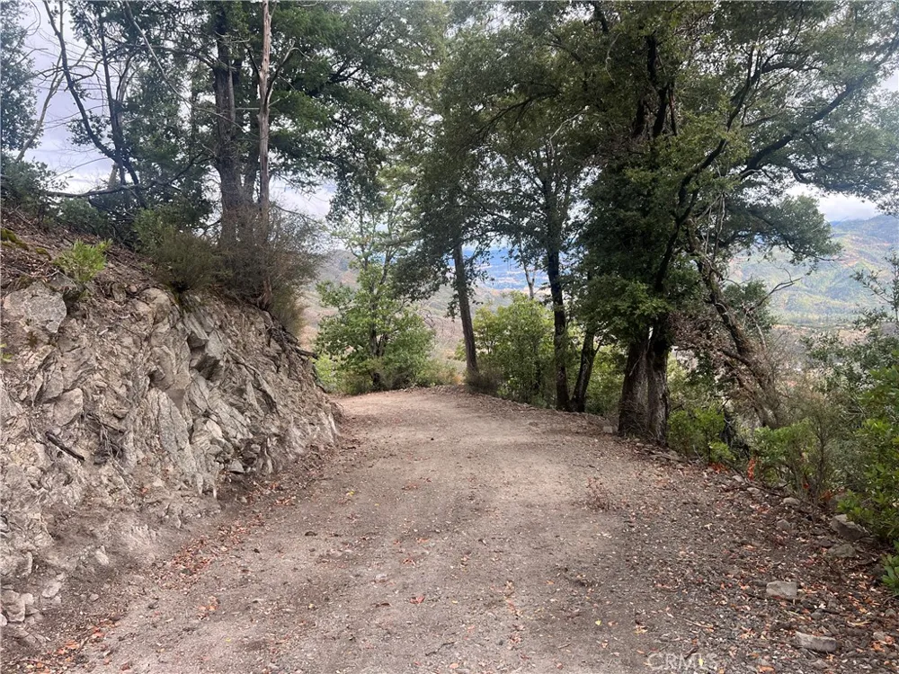 17655 Ford Flat Road Cobb, CA 95461