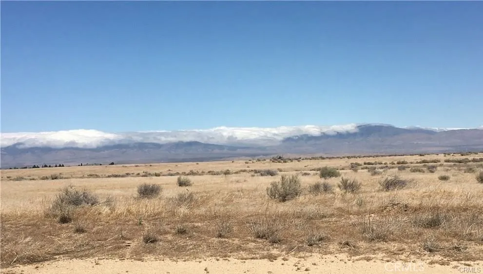 161 Stw Fairmont, CA 93536