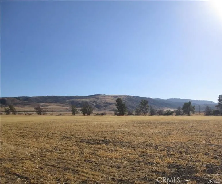 161 Stw Fairmont, CA 93536