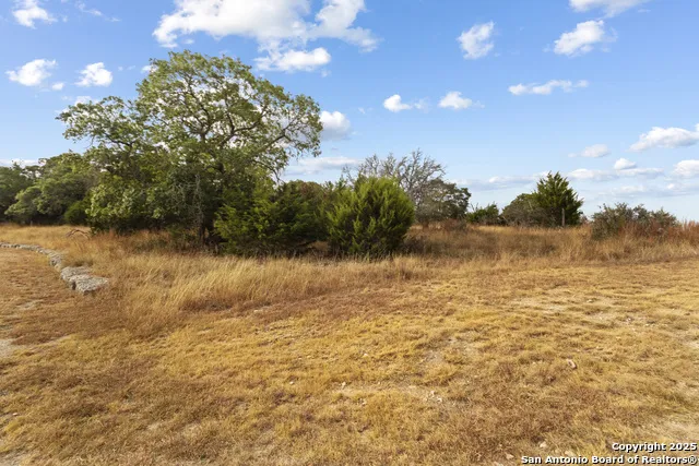 146 Painted Sky Comfort, TX 78013