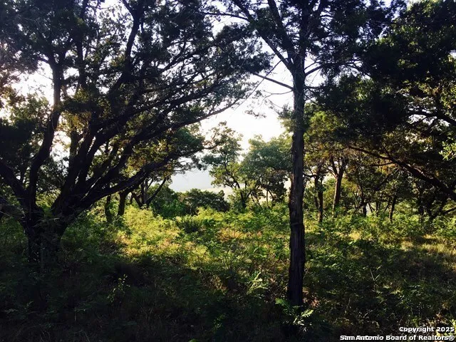 54 South Ridge Drive Concan, TX 78838