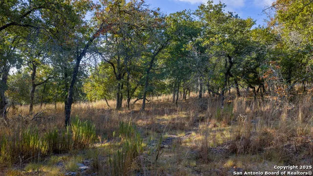 LOT 17 & 18 Sandstone Lane Seguin, TX 78155