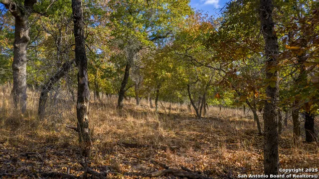 LOT 17 & 18 Sandstone Lane Seguin, TX 78155