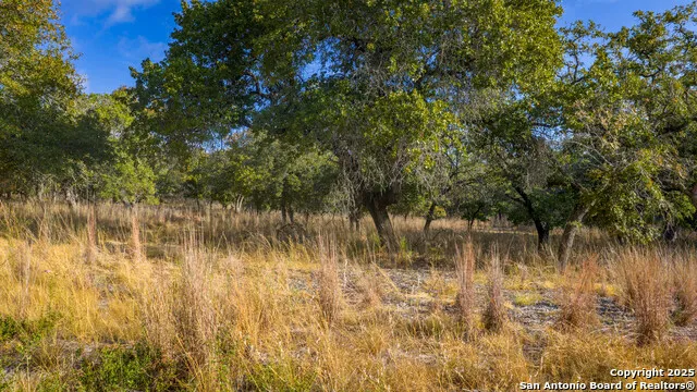 LOT 17 & 18 Sandstone Lane Seguin, TX 78155