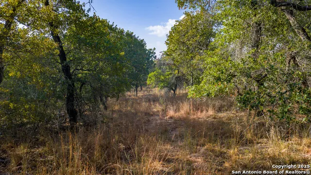 LOT 17 & 18 Sandstone Lane Seguin, TX 78155