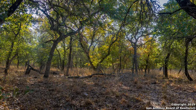 LOT 17 & 18 Sandstone Lane Seguin, TX 78155