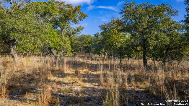 LOT 17 & 18 Sandstone Lane Seguin, TX 78155