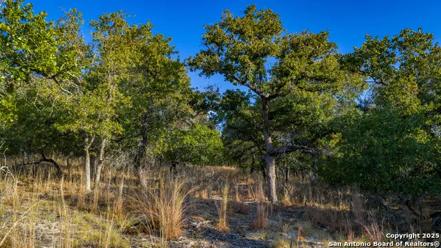 LOT 17 & 18 Sandstone Lane Seguin, TX 78155