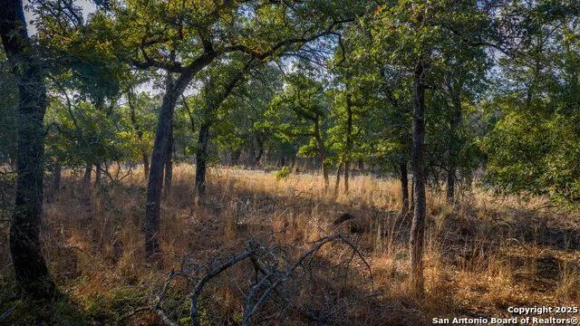 LOT 17 & 18 Sandstone Lane Seguin, TX 78155